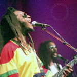 Photo de Concert: Steel Pulse aux NJP